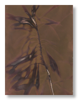 lumen 75 18X24