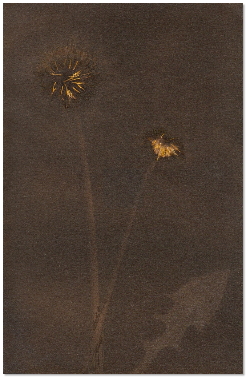 lumen 127 13X18