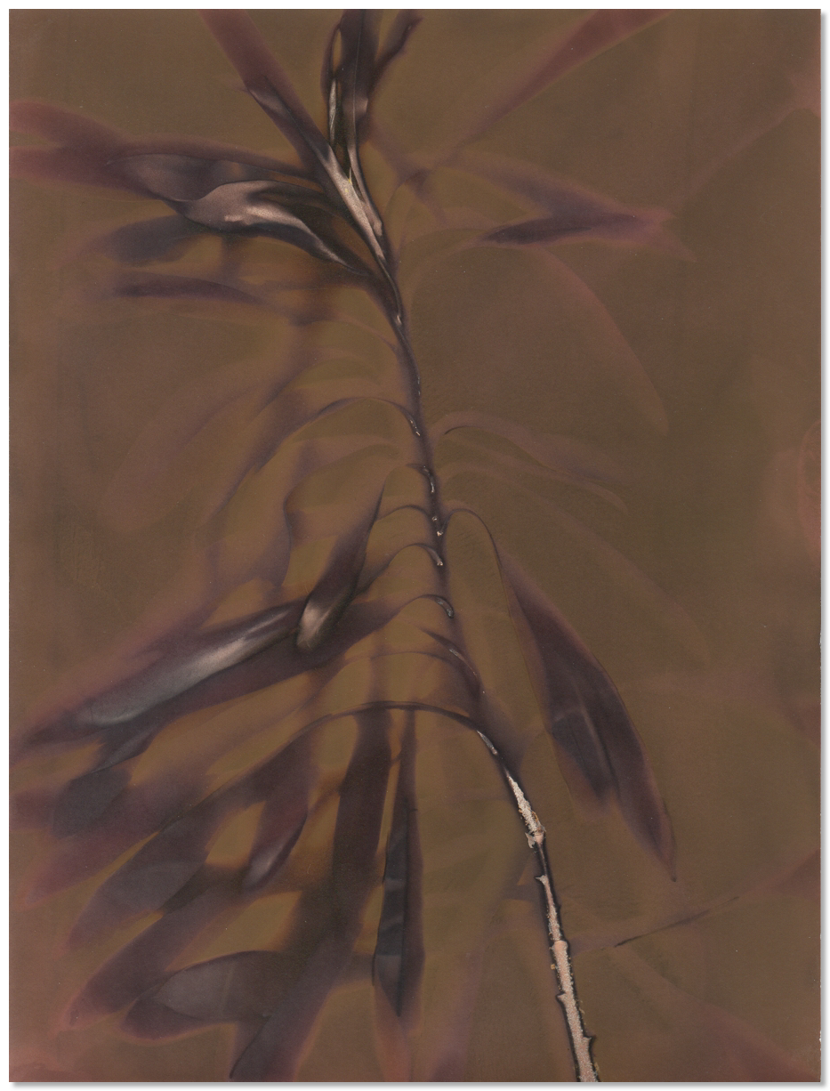 lumen 75 18X24