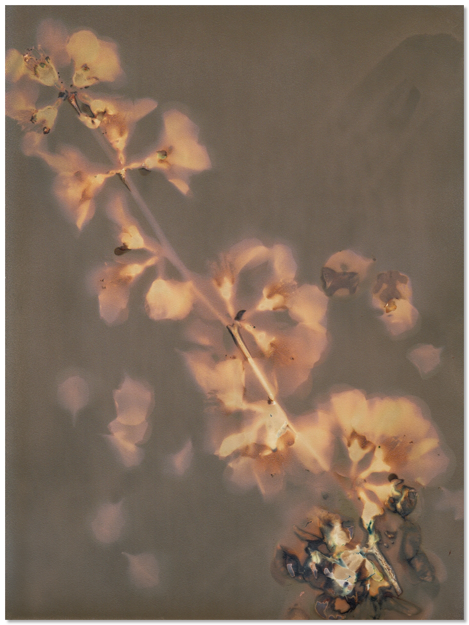 lumen 73 18X24