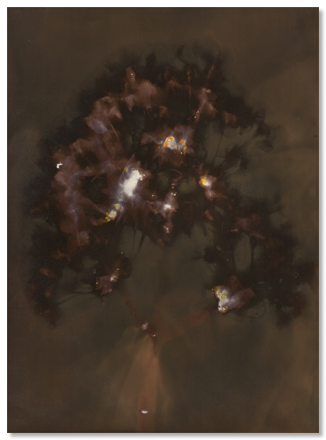 Lumen 21:9 18X24