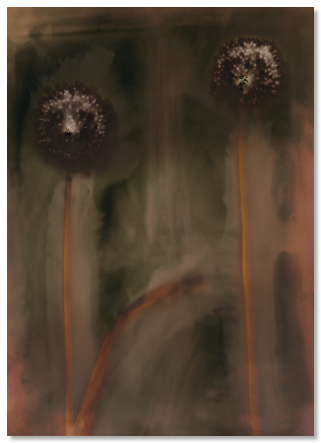 lumen 126 30X40