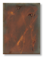 lumen 55 13X18