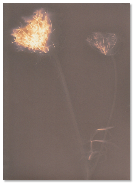 lumen 58 13X18