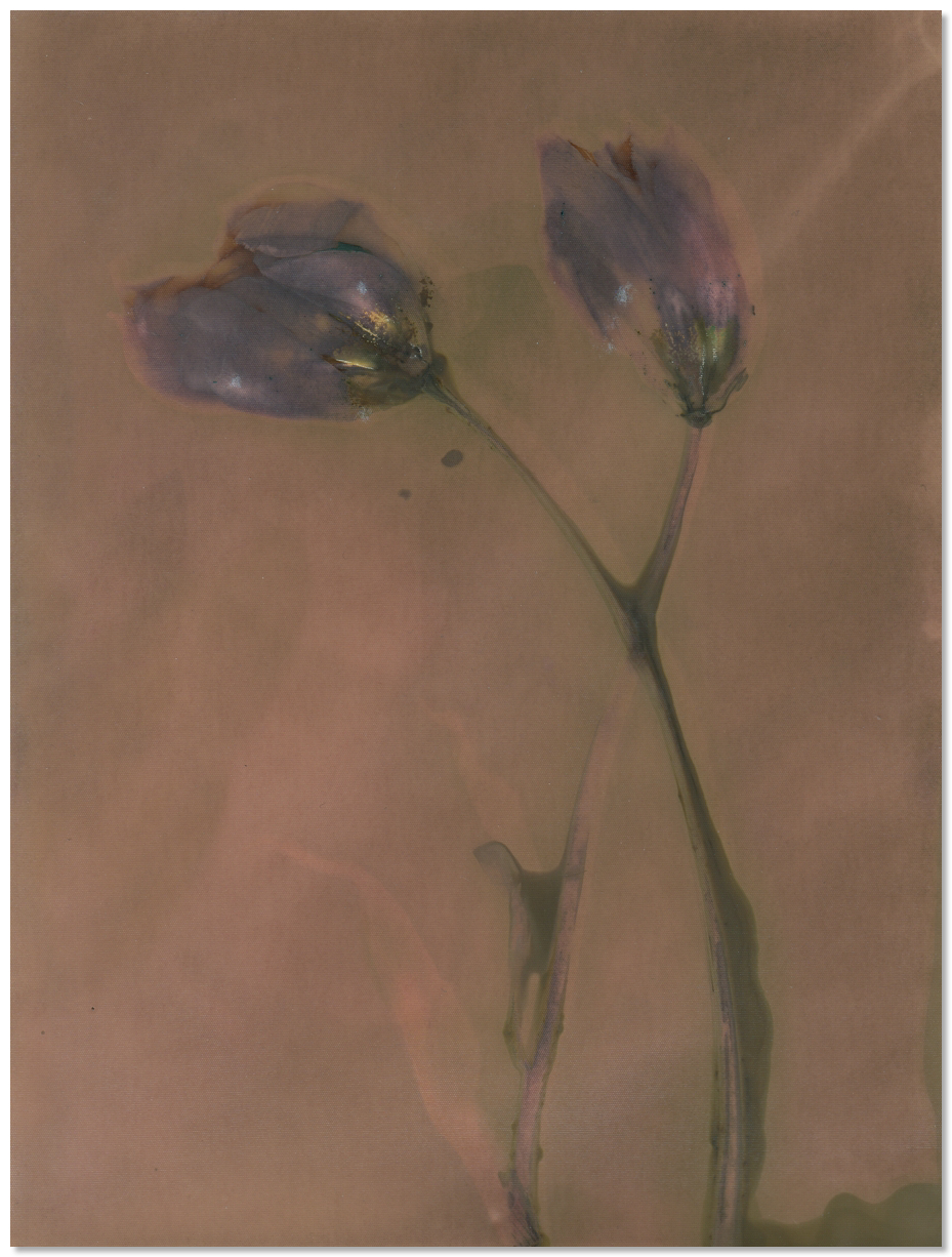lumen 101 18X24