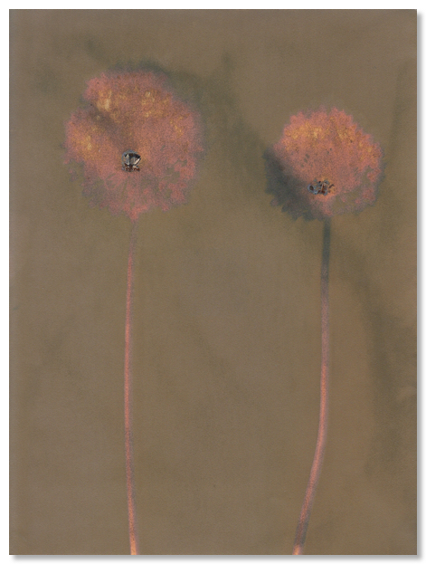 lumen 122 18X24