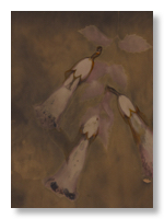 Lumen 25:10 13X18