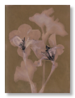 Lumen 25:19 24X30