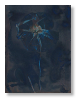 Lumen 25:5 13X18