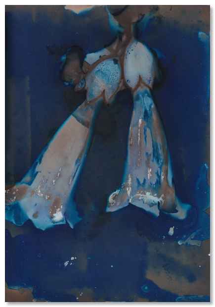 Lumen 25:3 9X12