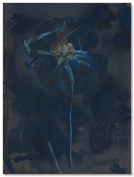 Lumen 25:5 13X18