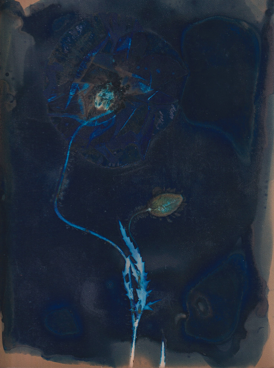 Lumen 25:9 13X18