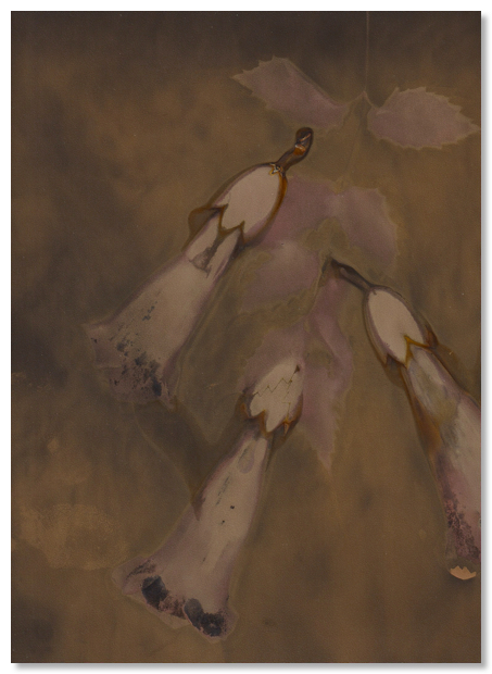 Lumen 25:10 13X18
