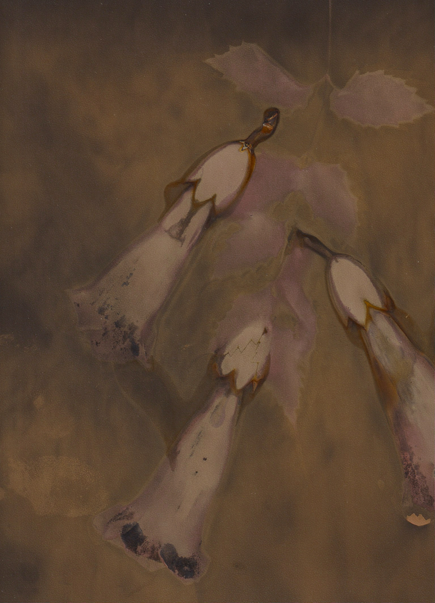 Lumen 25:10 13X18