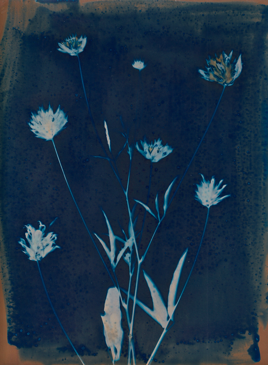 Lumen 25:13 18X24