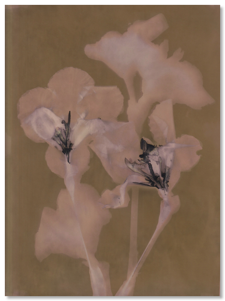 Lumen 25:19 24X30