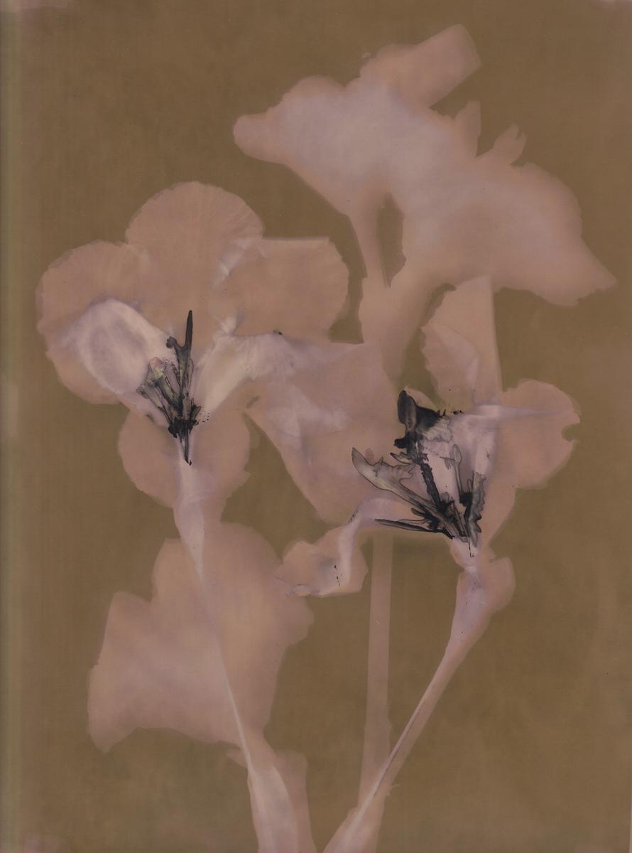 Lumen 25:19 24X30