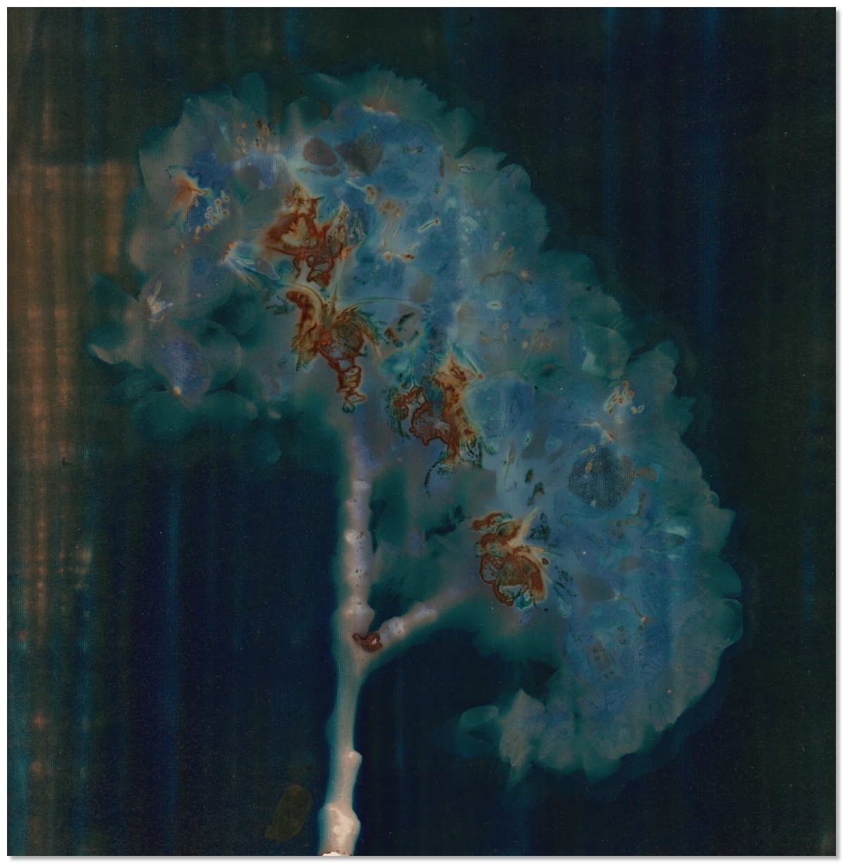 Lumen 21:5 16X16