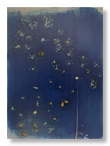 Lumen 21:39 30X40