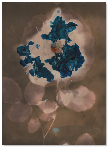Lumen 21:31 18X24