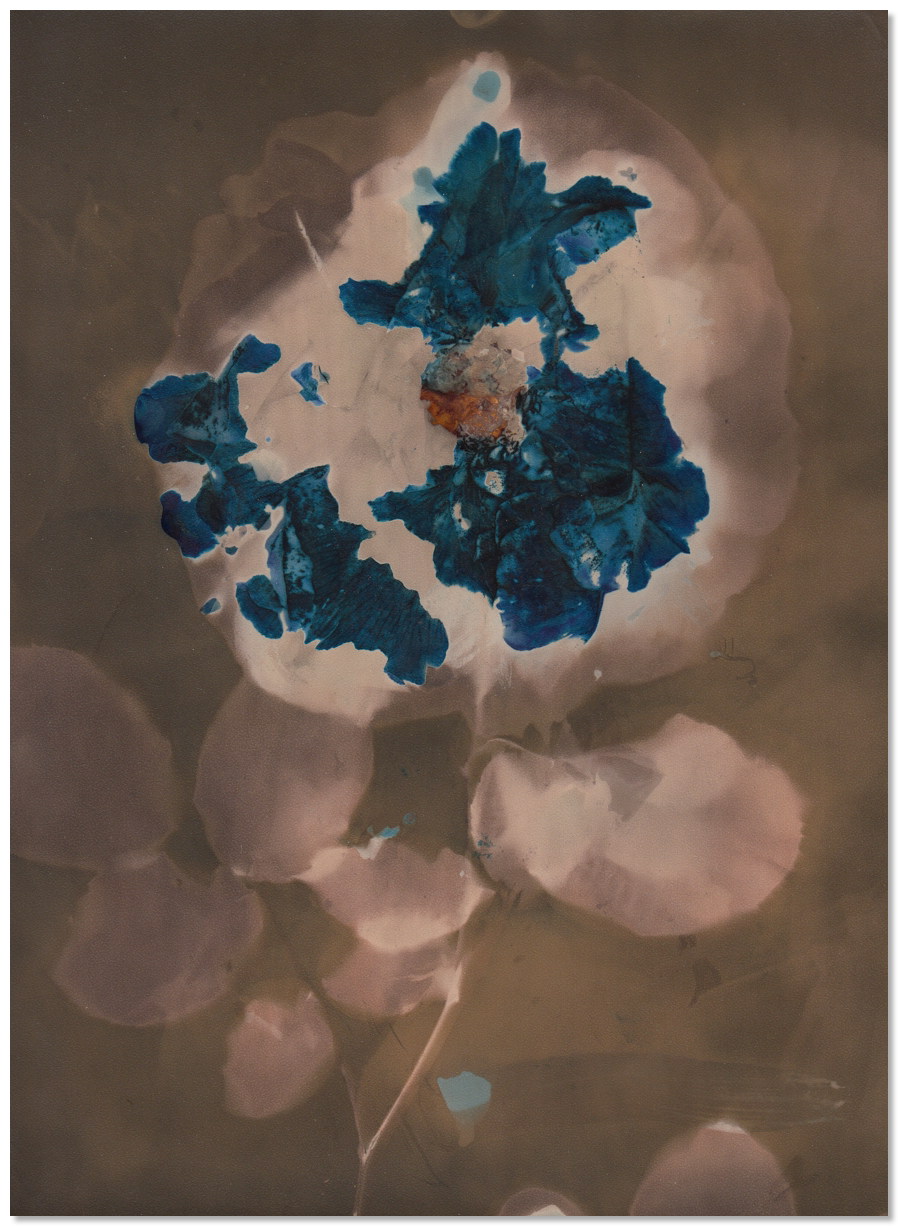 Lumen 21:31 18X24